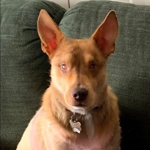 Meet your Posher, Manisha